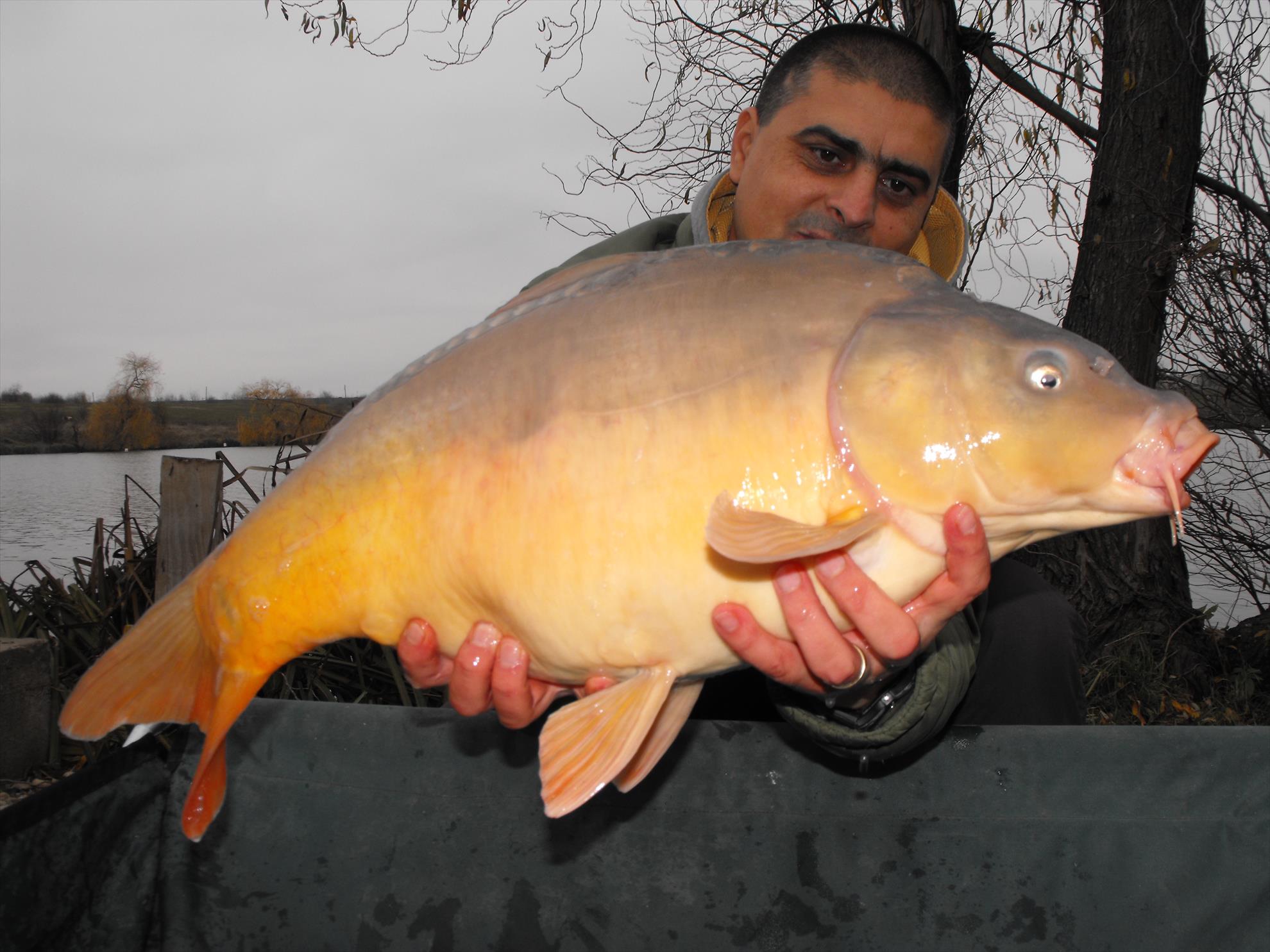 Hermes Peris 15 noiembrie 2014 - dscf1024.JPG